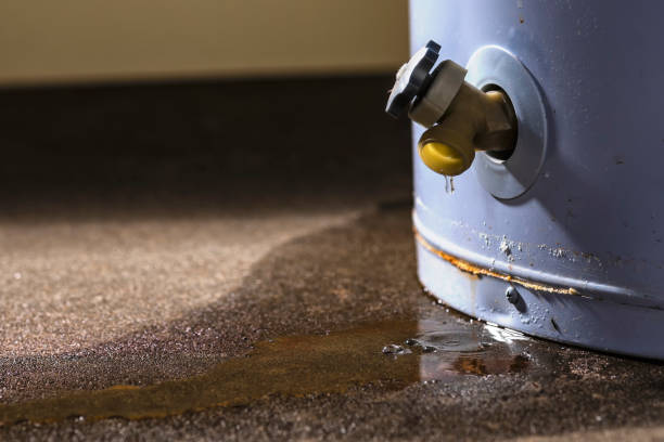 Best Commercial water damage restoration  in Columbia Heights, MN