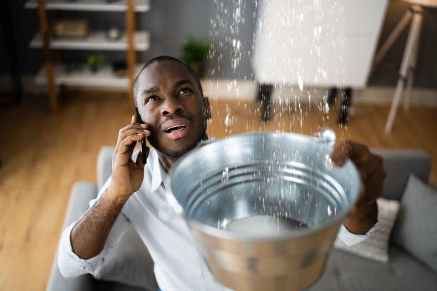 Best Water damage restoration experts  in Columbia Heights, MN