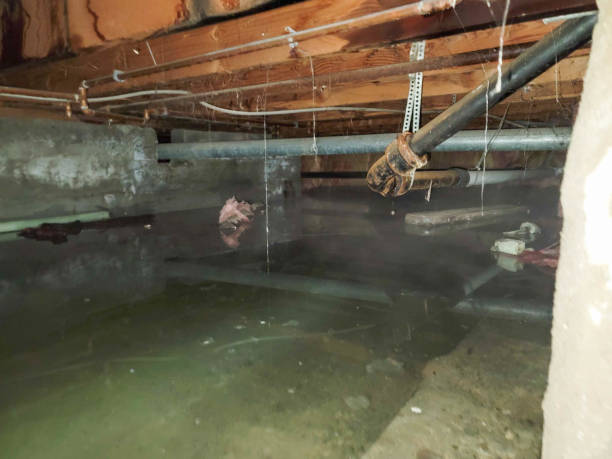 Best Residential water damage restoration  in Columbia Heights, MN
