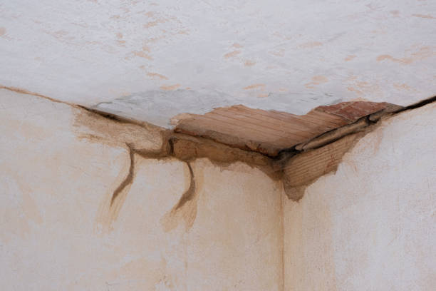 Best 24-hour water damage restoration  in Columbia Heights, MN