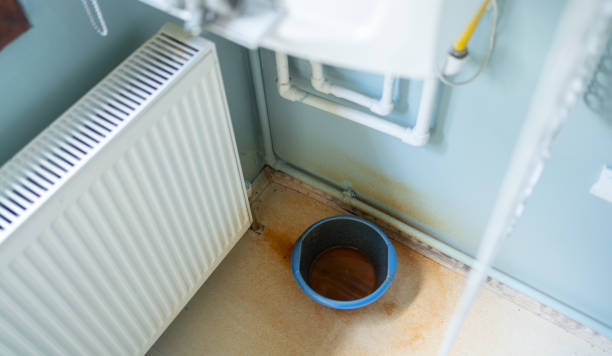 Best Water damage restoration services  in Columbia Heights, MN