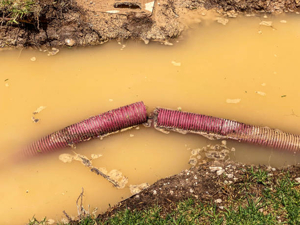 Best 24/7 water damage repair  in Columbia Heights, MN