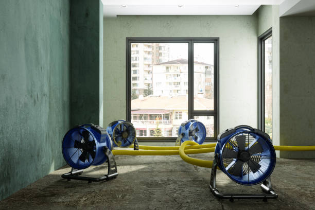 Best 24/7 water damage repair  in Columbia Heights, MN