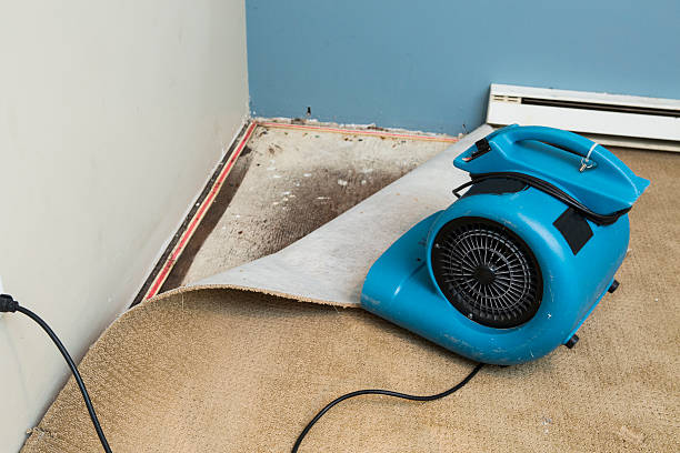Sewage cleanup and water damage restoration in Columbia Heights, MN